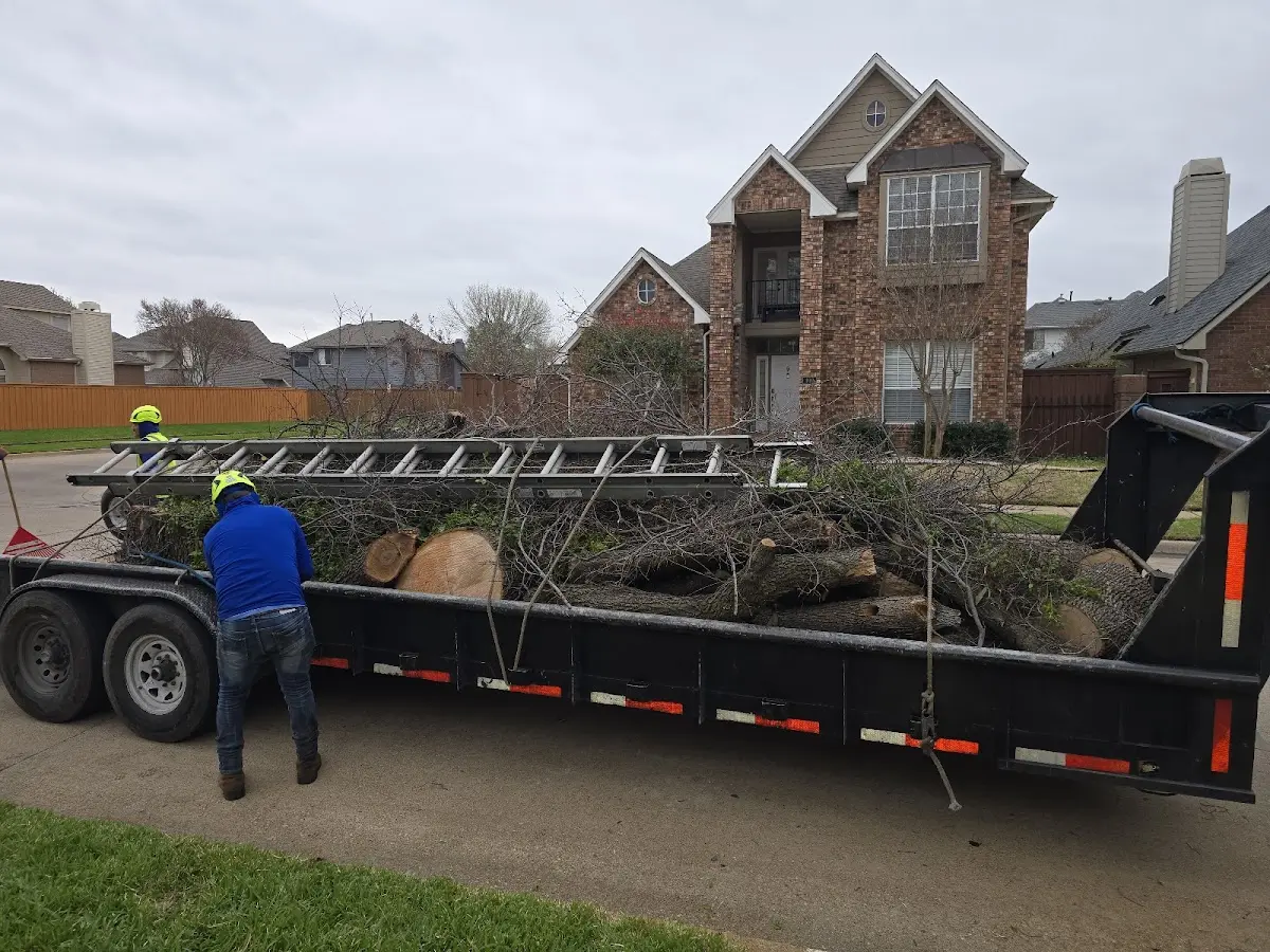 Expert Lot Clearing with proper safety equipment in Ridgeway